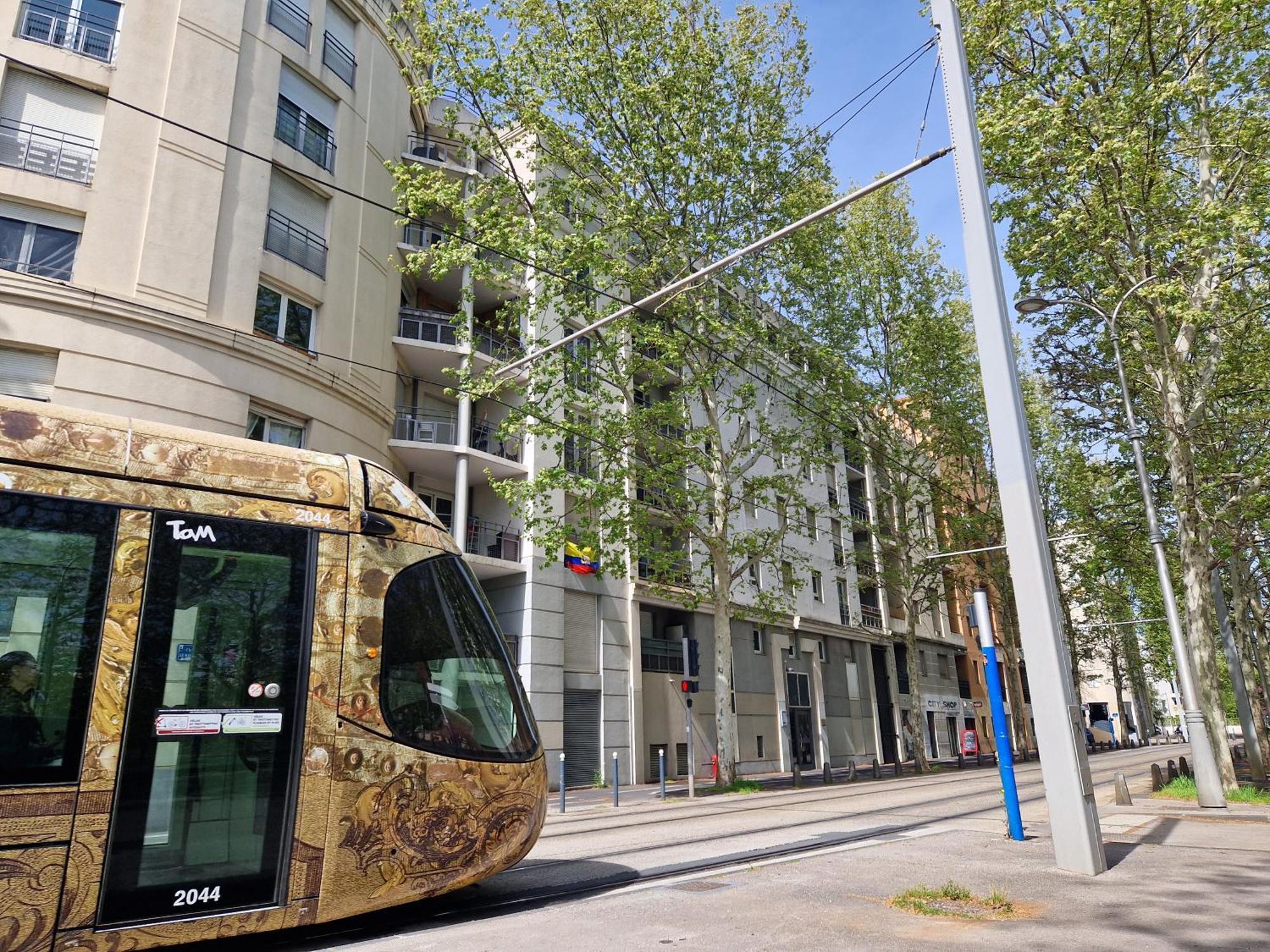 Appartement Avec Vue Sur Le Lez Montpellier Dış mekan fotoğraf