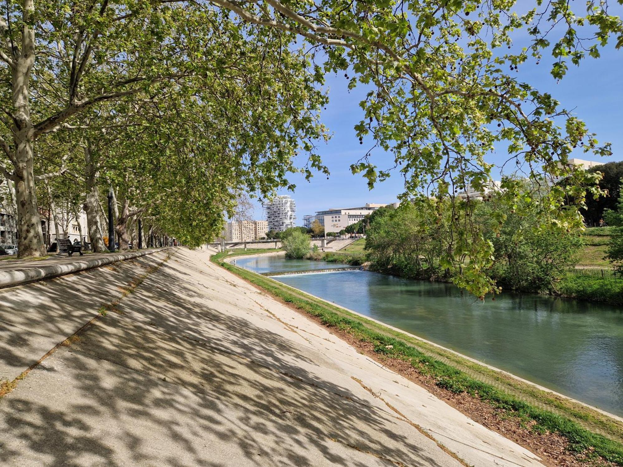 Appartement Avec Vue Sur Le Lez Montpellier Dış mekan fotoğraf
