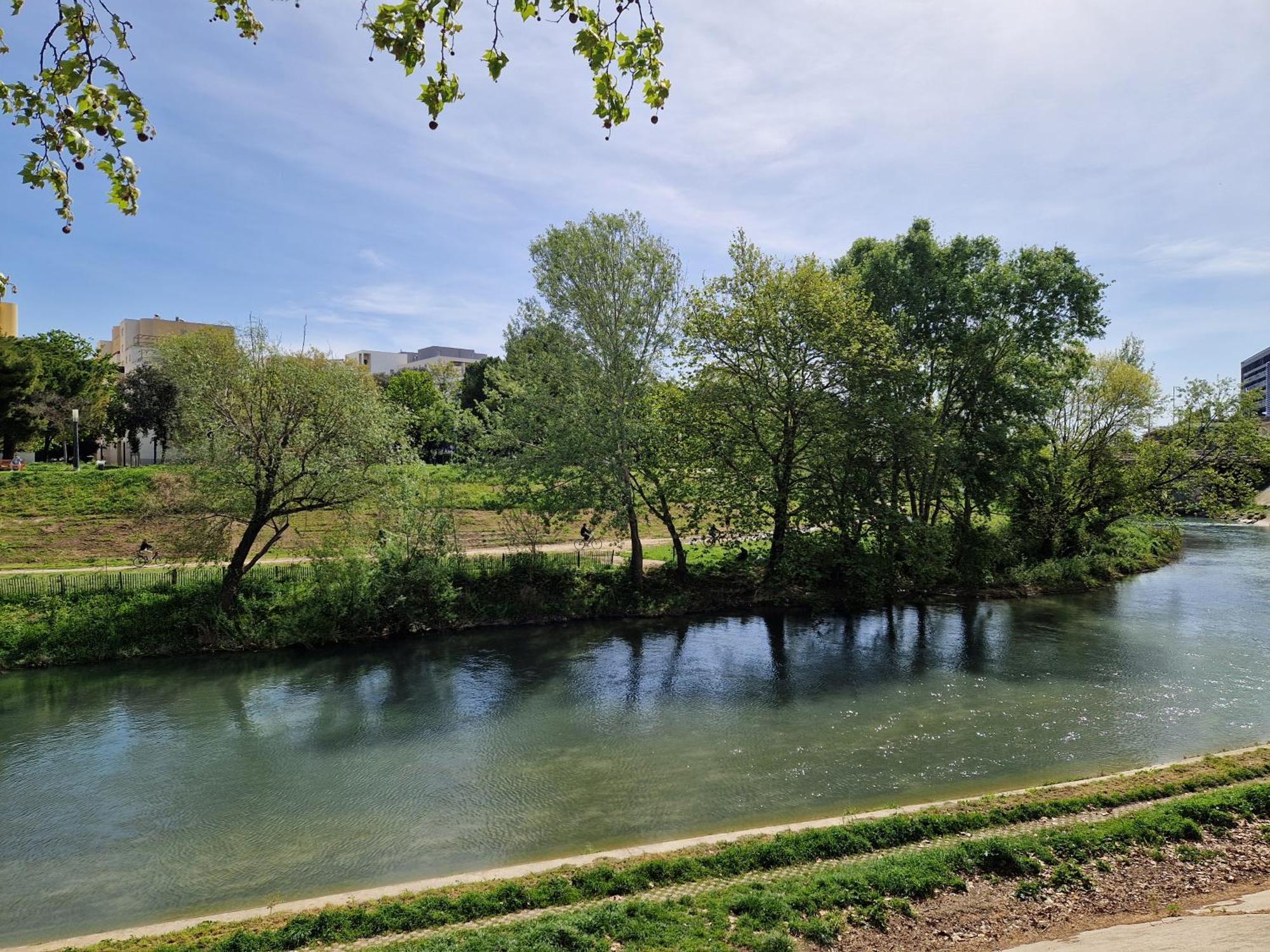 Appartement Avec Vue Sur Le Lez Montpellier Dış mekan fotoğraf